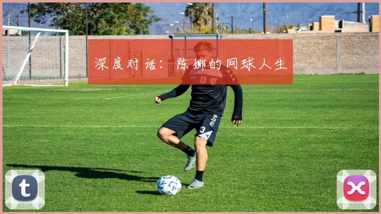 深度对话：陈娜的网球人生