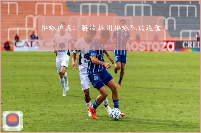 排球热点：解读杭州排球队的运营