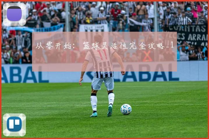 从零开始：篮球灵活性完全攻略_1