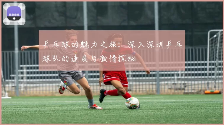乒乓球的魅力之旅：深入深圳乒乓球队的速度与激情探秘
