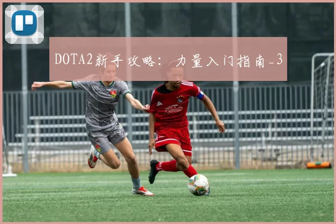 DOTA2新手攻略：力量入门指南_3