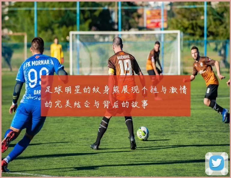 足球明星的纹身熊展现个性与激情的完美结合与背后的故事