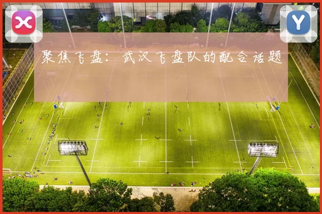 聚焦飞盘：武汉飞盘队的配合话题