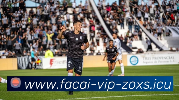 爱游戏体育平台生态图