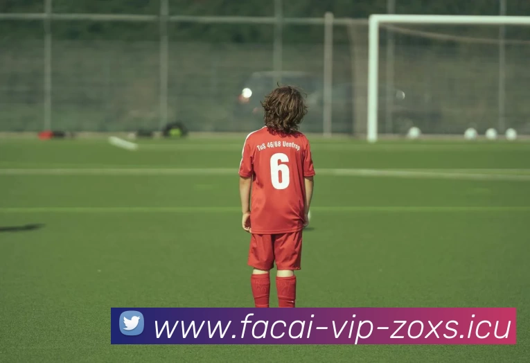 爱游戏体育全站App